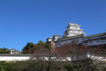 Fototapeta na wymiar 秋の姫路城