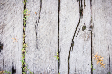 Wood texture background with green grass