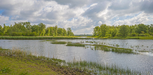 The shore of a sunny lake in spring
