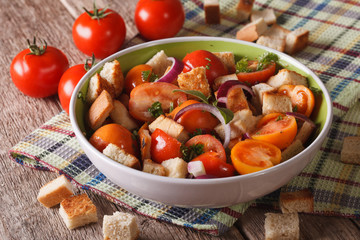 Italian bread salad with vegetables - panzanella close-up horizontal
