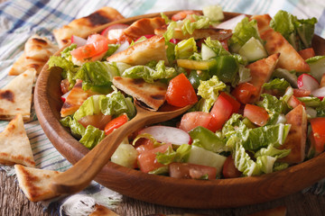 Levantine salad - fattoush close up in a bowl. horizontal
