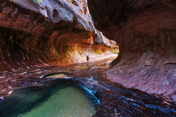 Canyon in Zion