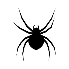 Black widow spider flat icon for apps and websites