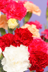 カーネーション