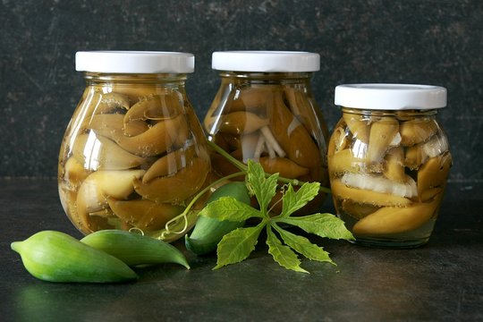 Pickled Cyclanthera Pedata