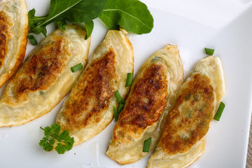 Japan traditional cuisine - Gyoza