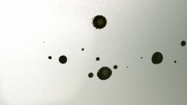Black ink drops on white paper shooting with high speed camera, phantom flex.