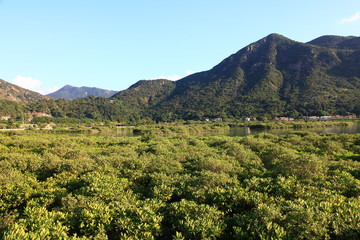 Obraz premium Lantau Island, Hong Kong