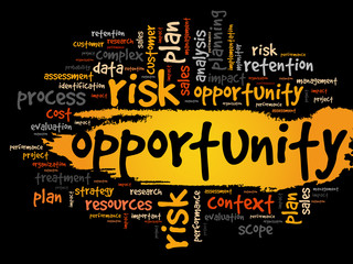Opportunity and success word cloud, business concept