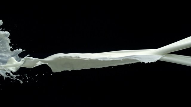 Pouring milk and making splashes on black background shooting with high speed camera, phantom flex.