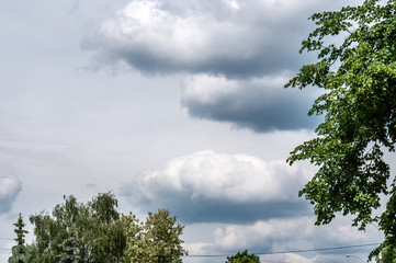 Obraz premium under the tree shade