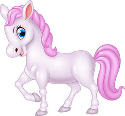 Cute pony horse isolated on white background