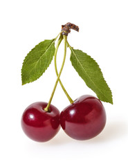 Cherry isolated on white background