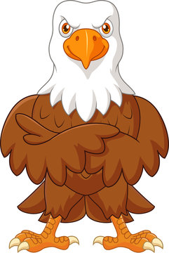 Cute eagle cartoon posing isolated on white background

