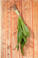 Culantro or Parsley on wood background.