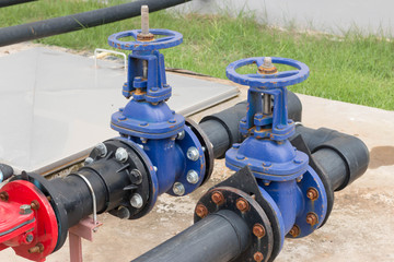 Water valve and steel pipe