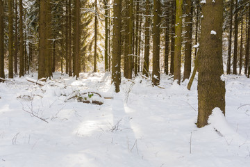 Winterlandschaft im Harz bei Stolberg