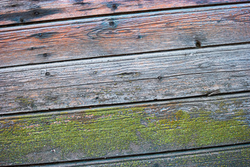 Old planks with lichen diagonal background pattern