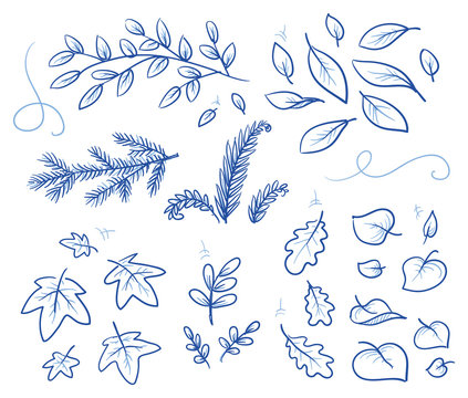 Set of different leaves and branches. Hand drawn vector illustration.