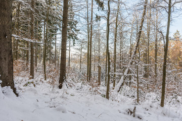 Winterlandschaft im Harz bei Stolberg