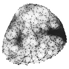 Connection Structure. Wireframe Vector Illustration.