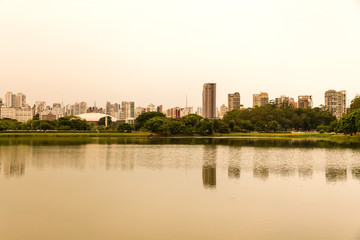 Fototapeta na wymiar Ibirapuera Park in Sao Paulo