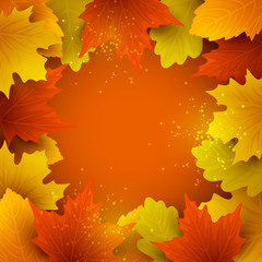 Vector colorful background with autumn leaves.