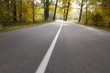a sharp turn on a forest road