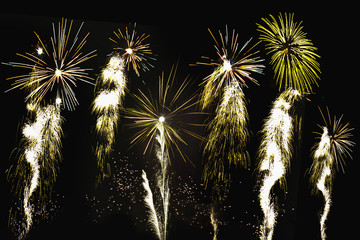 Time lapse photograph of an evening firework display creating the appearance of flowers in bloom.