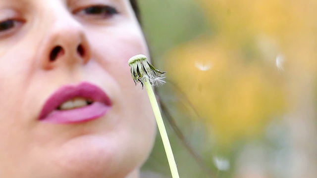 The young woman  blowing dandelion in the park as a parallel recording, Slow Motion Video clip