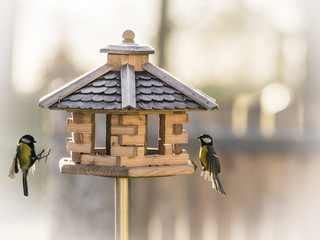 Vogelhaus mit Vögel