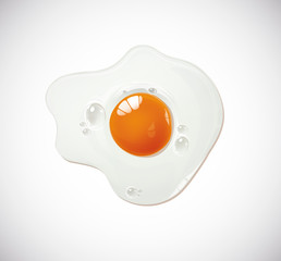 Fried egg isolatedon white background. Vector
