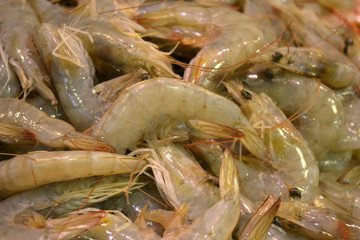 Garnelen Shrimps