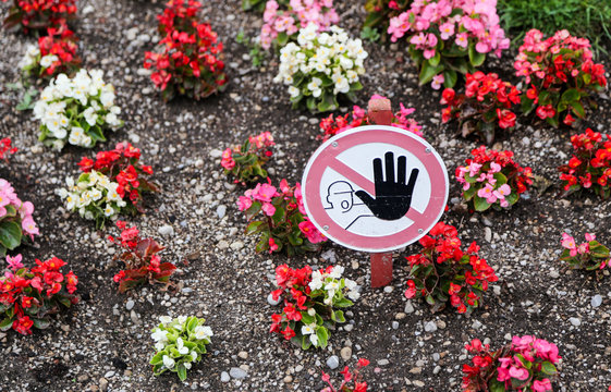 No tresspassing no stepping on flowers sign.