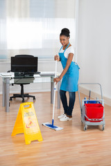 Fototapeta na wymiar Woman Cleaning Hardwood Floor