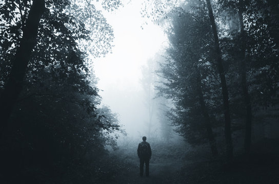 Fototapeta man silhouette in dark foggy forest