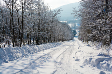 Fototapeta premium 雪道