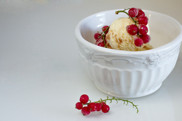 Vanilla ice cream with a sprig of red currants in a white bowl on a white background