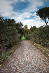 antico viale 