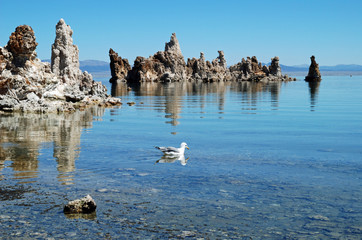 Mono Lake, Kalifornien