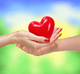 Loving couple holding heart in hands on sunny nature background