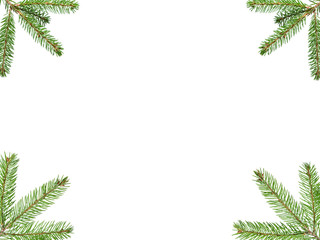 fir branches border on white background