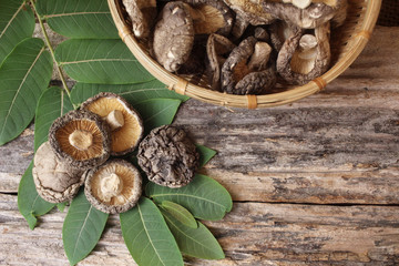 Dried shiitake mushroom