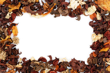 frame dried flowers and leaves
