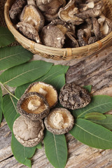 Dried shiitake mushroom