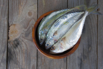 Mackerel fresh fish
