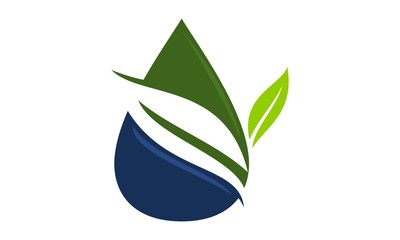 Green leaf and water drop