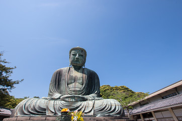 Fototapeta premium Kotokuin-temple big budda, kamakura(area),kanagawa(prefectures),japan