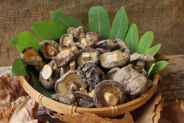 Dried shiitake mushroom