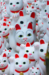 Fototapeta premium Goutokuji-temple,Beckoning cat, setagaya(area),tokyo(prefectures),japan